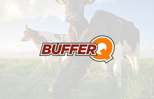 BufferQ