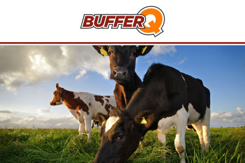 BufferQ