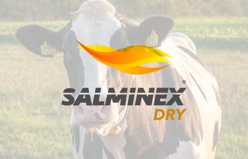 Salminex Dry