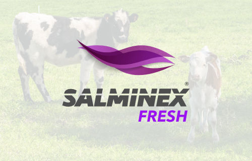 Salminex Fresh